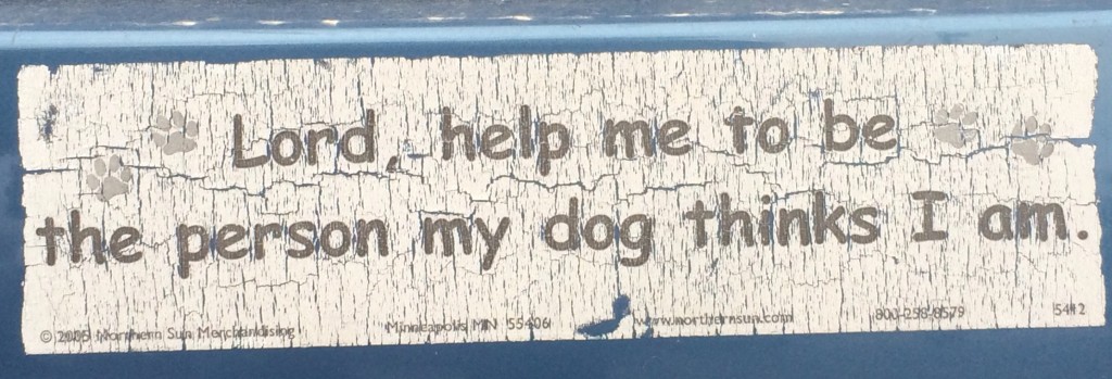 Bumper Sticker Prayer or Dog