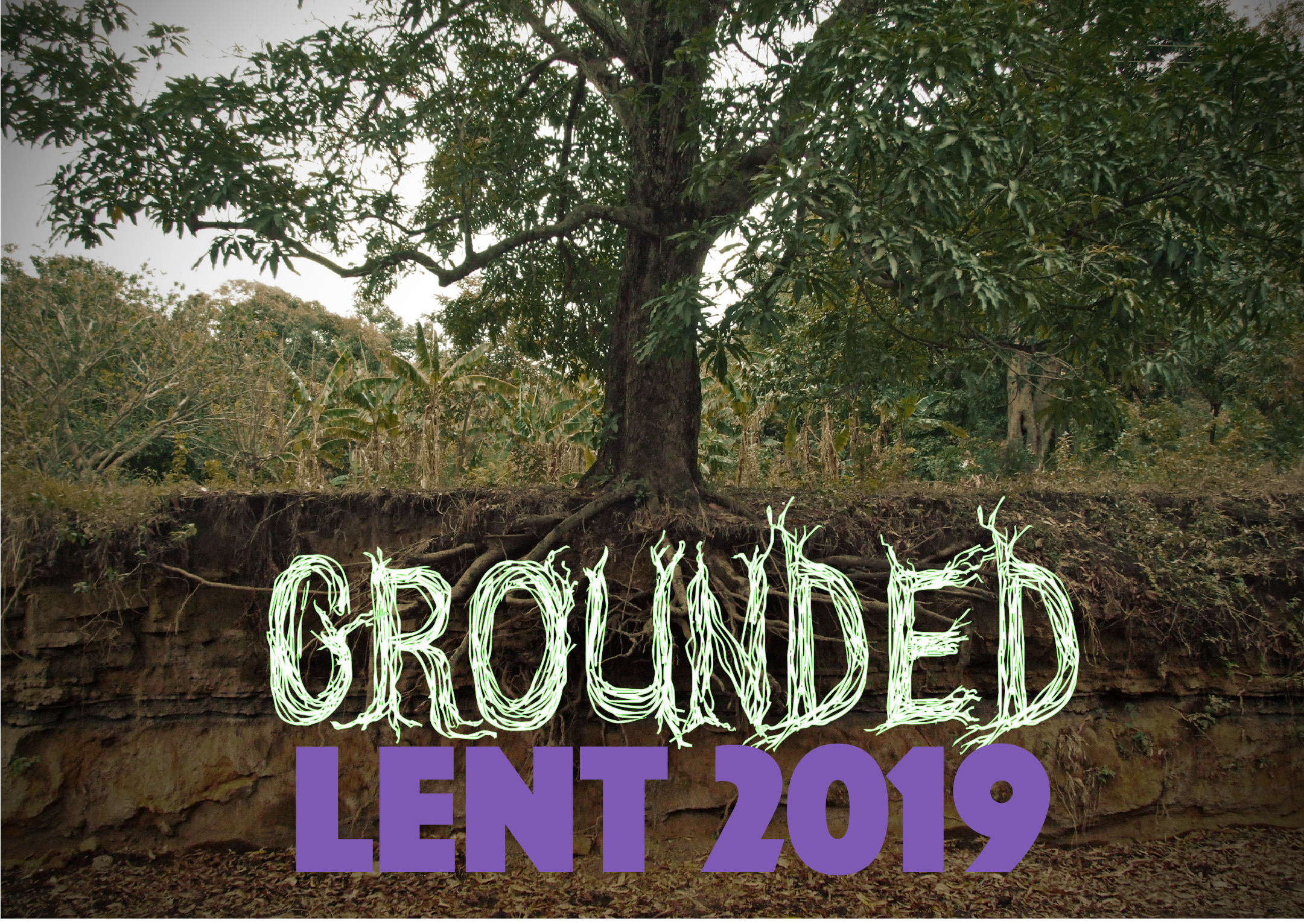 Grounded Lent 2019 Logo purple